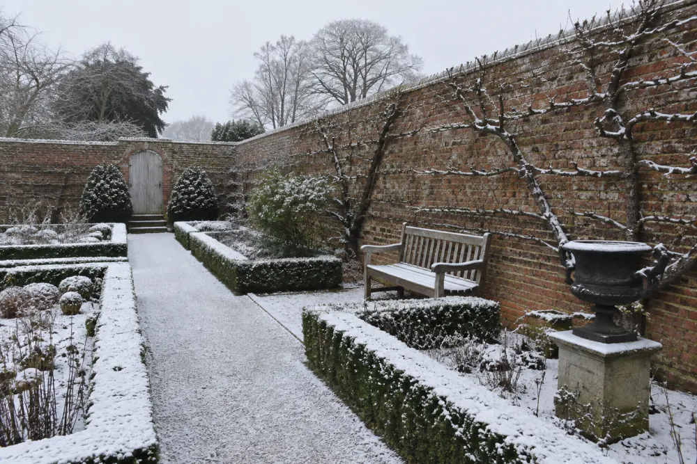 The walled garden in January under a light snow: the box parterre and the path outlined in white, bare espalier branches on the brick wall, a bench and the empty urn.